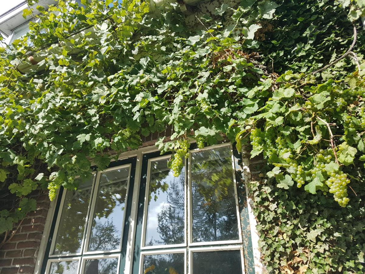 B&B De Panheide Hooghalen Экстерьер фото